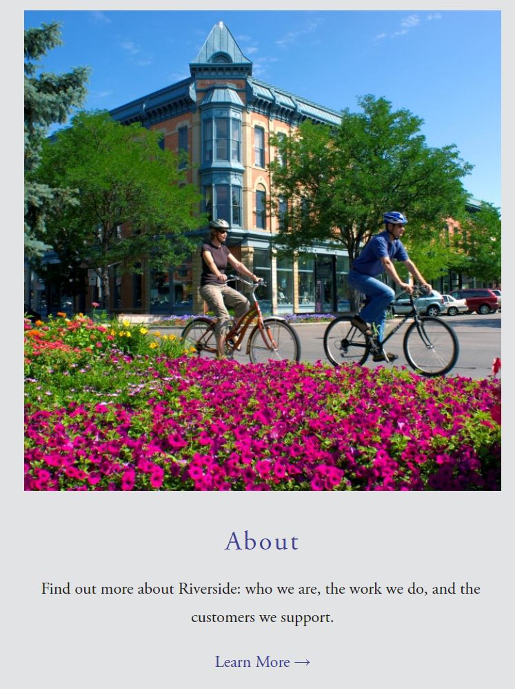 Riverside Technology, product / service