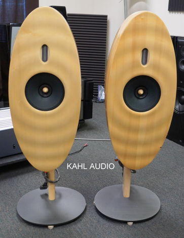 SoundKaos Wave 40 full range speakers. Lots of positive...