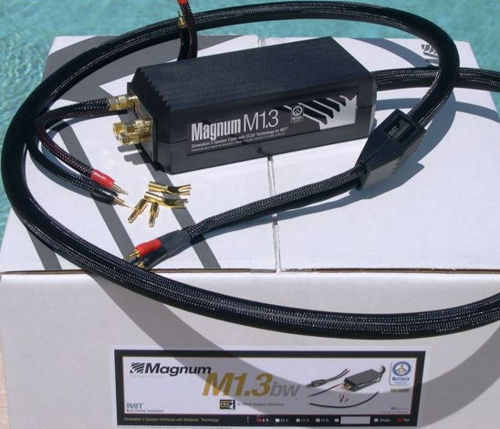 MIT Cables Magnum M1.3 BiWire 8 Foot (MINT) Lower Price
