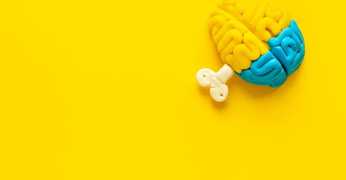 10 WAYS YOU CAN OPTIMIZE YOUR MENTAL FITNESS
