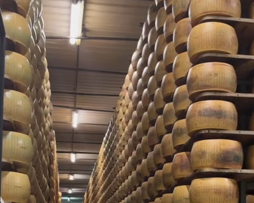 Tour enogastronomici Gargallo: Scopri il Parmigiano Reggiano: visita e pranzo tipico