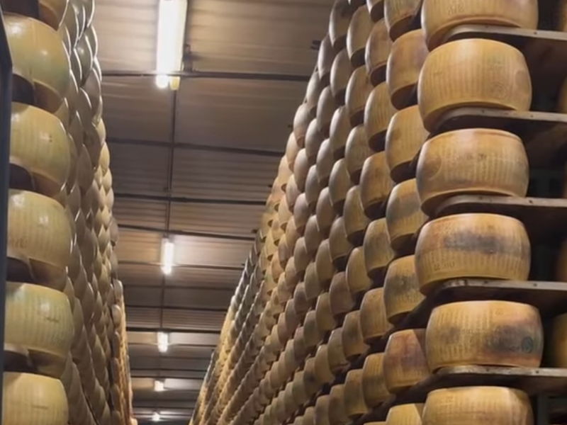 Food & Wine Tours Fossoli: Discover Parmigiano Reggiano: visit and typical lunch