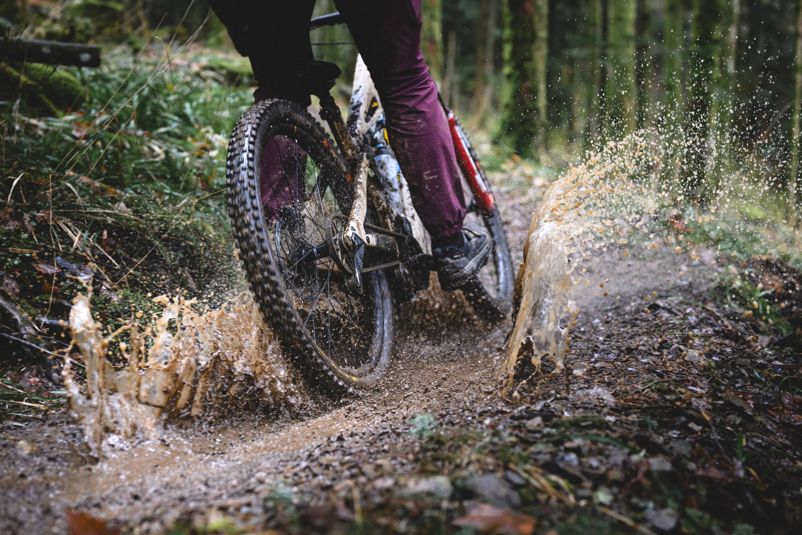 Whyte Kado RSX Lifestyle Picture zoom-in