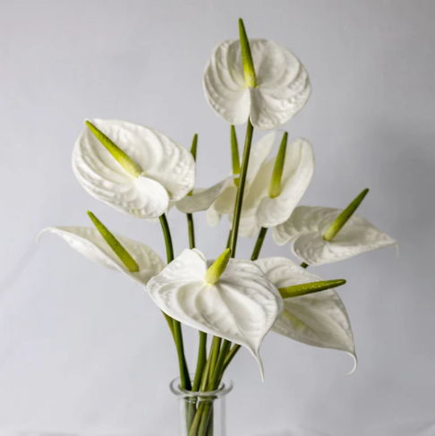 White Large Anthurium - Realistic Artificial Flowers - Image 4