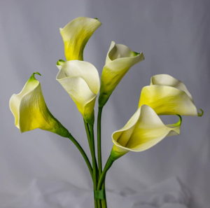 Light Yellow Mini Calla Lily - Realistic Artificial Flowers