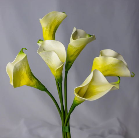 Light Yellow Mini Calla Lily - Realistic Artificial Flowers