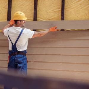 Paint, Siding & Finishes