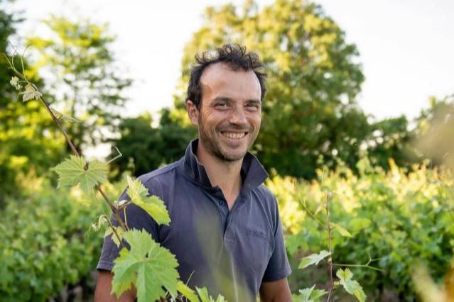 Domaine Timothée Delalle - Vigneron à Fondettes et Luynes en Touraine, vallée de la Loire