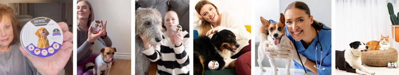 dewel flea and tick collar reviews