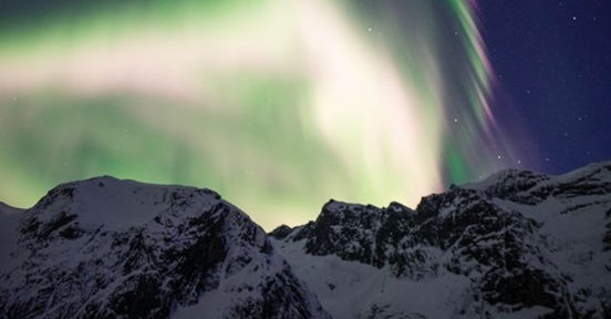 Aurora in Winter Wonderland