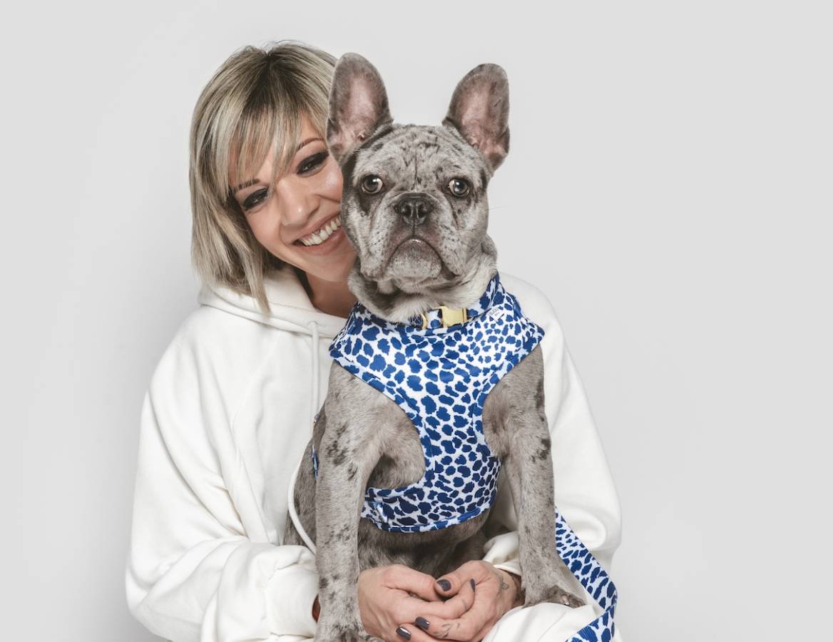 how long do blue french bulldogs live