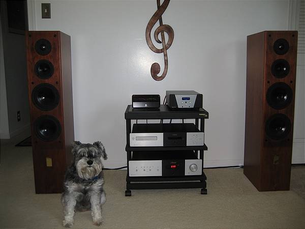 Slate loves music