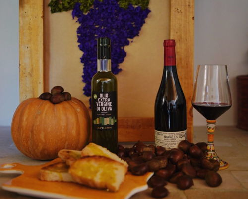 Tour enogastronomici Cannara: Cannara: Tour vigneti in carrozza e degustazione 10 vini