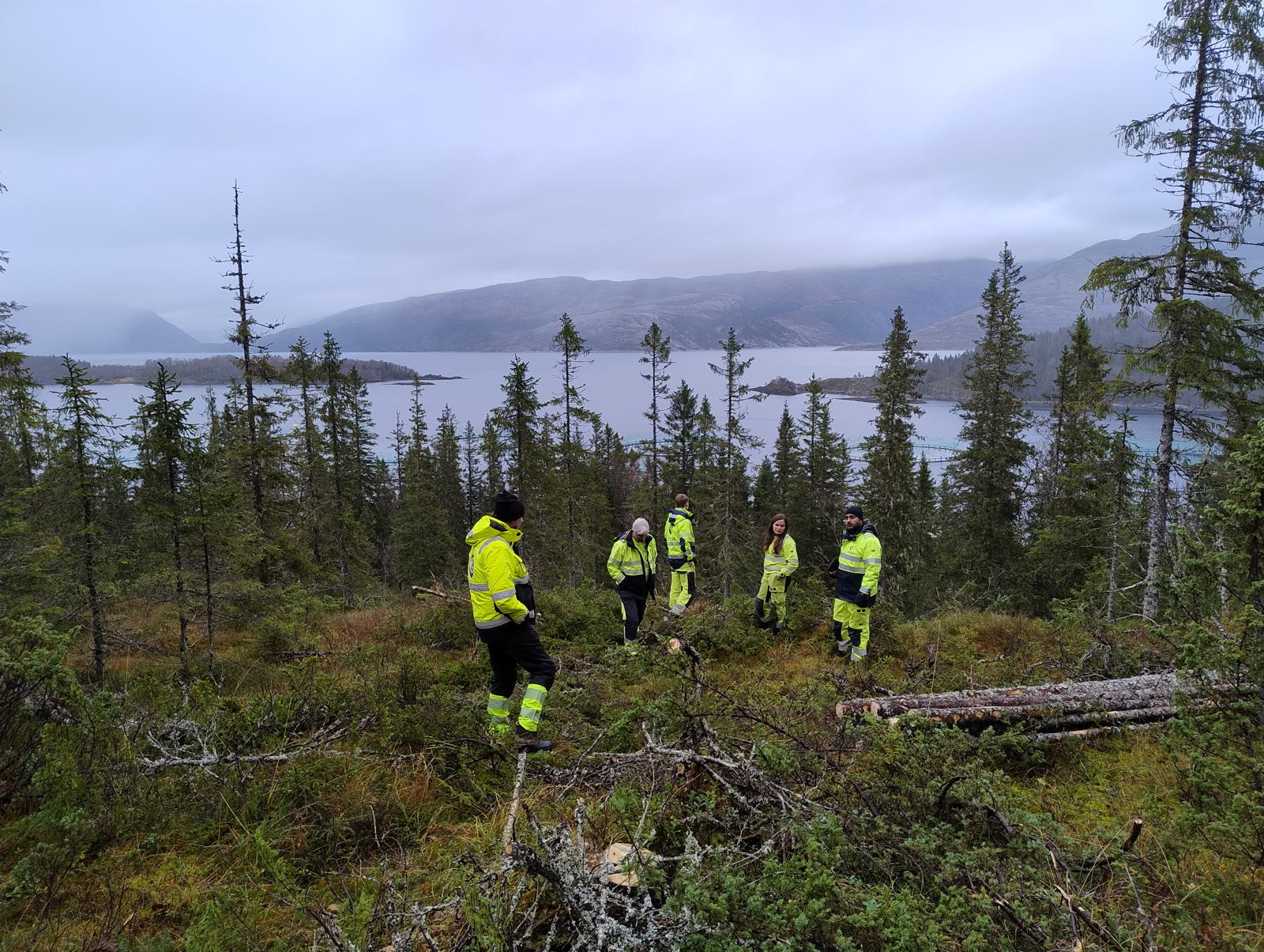 Landstrøm forflåte — Velfjorden — Torsjon-prosjekt