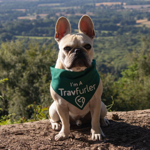 Francis the Travfurler | Green dog bandana