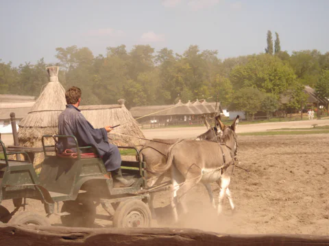Puszta Horse Show and Countryside