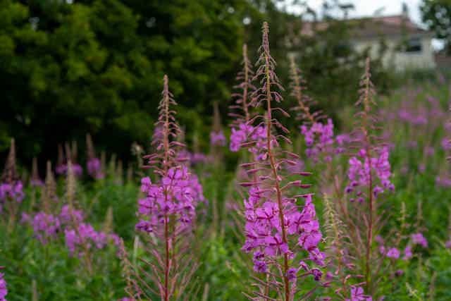 Connected approach to wellbeing