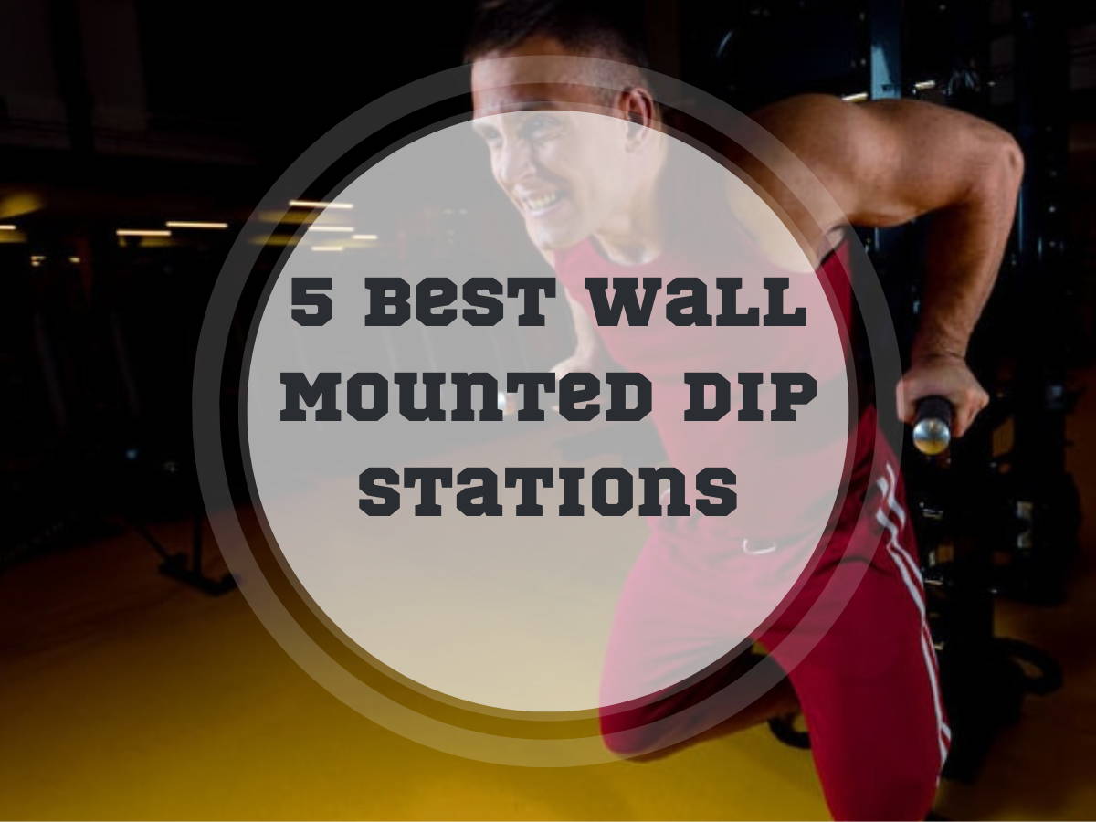 best wall mounted dip station