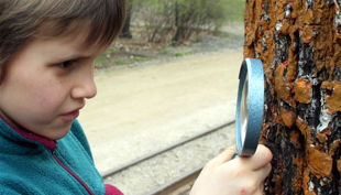 dresdner stadtindianer