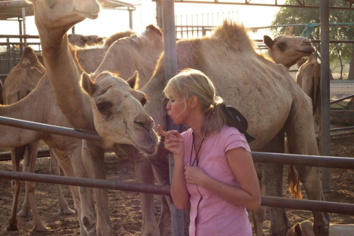 Поездка на верблюжью ферму (идеально подходит для семей с детьми).