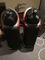 B&W (Bowers & Wilkins) 802D Rosenut all box and papers 3