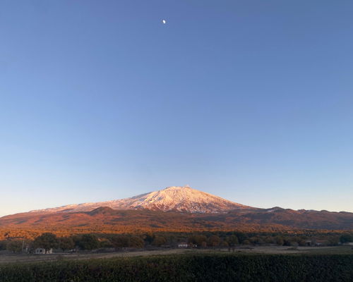 Kulinarische Erlebnisse Bronte: In Bronte mit dem König der Küche: Pistazie