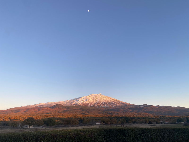 Food experiences Bronte: In Bronte with the King of Cuisine: Pistachio