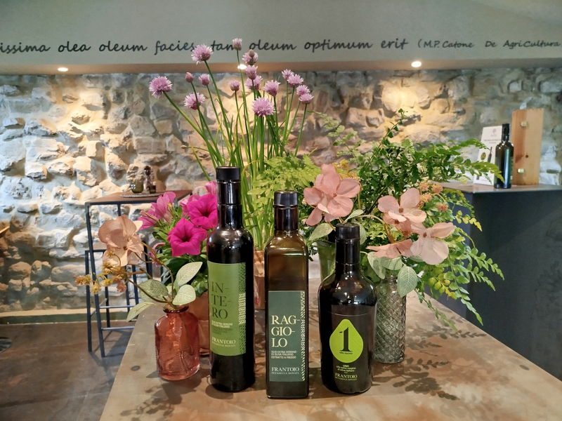 Food & Wine Tours Bevagna: Bevagna: visit to oil mill and tasting of extra virgin oils