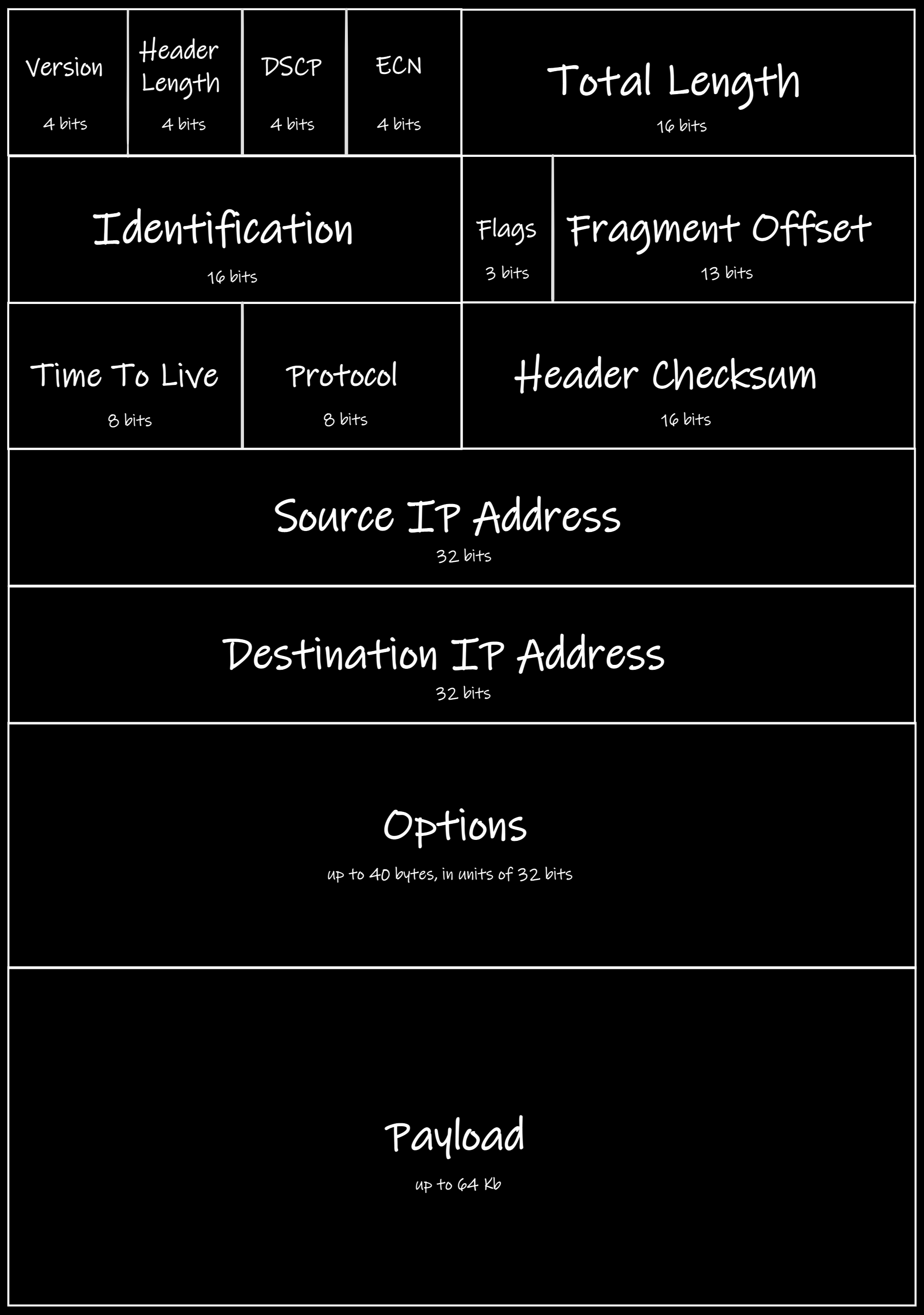 A representation of an Internet Protocol header with its length, identification, protocol, checksum, payload, etc.