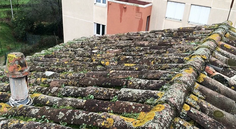 Rénovation de la couverture en tuiles romanes à Menton — photo 17 sur 34 — CEG TOITURE