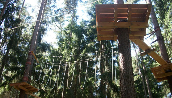 bester geburtstagde kletterwald weiherhof bäume platformen kletterwald stationen