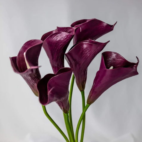 Aubergine Mini Calla Lily - Realistic Artificial Flowers