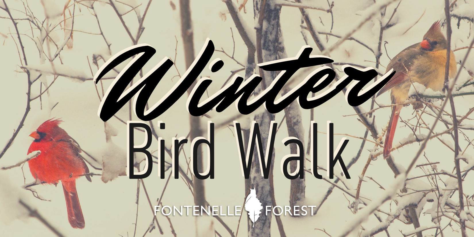 Winter Bird Walk promotional image