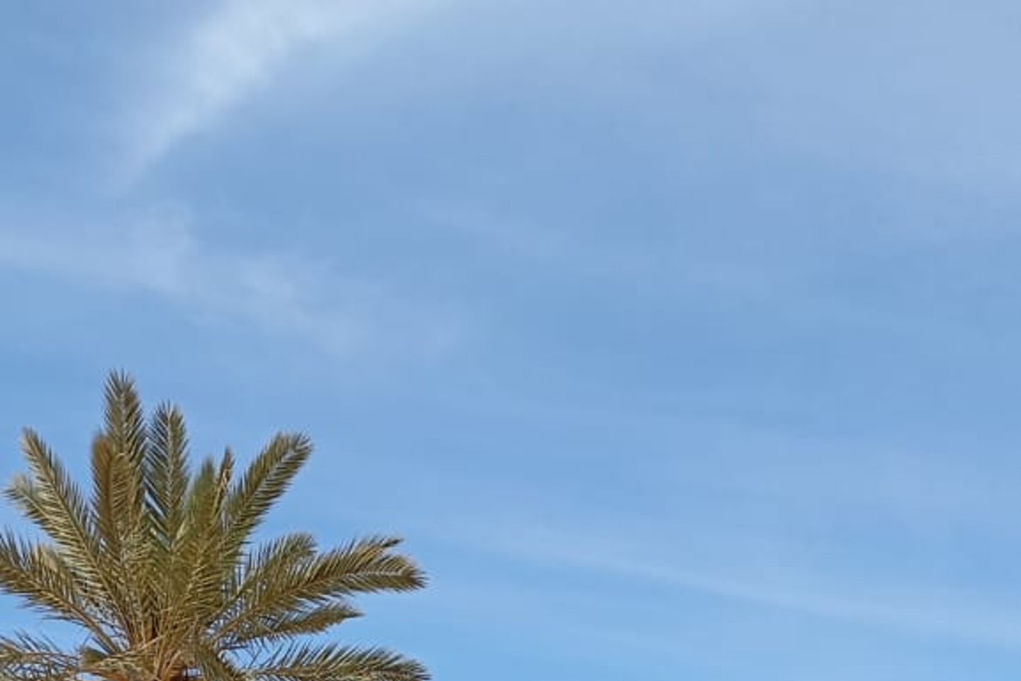 slider-image