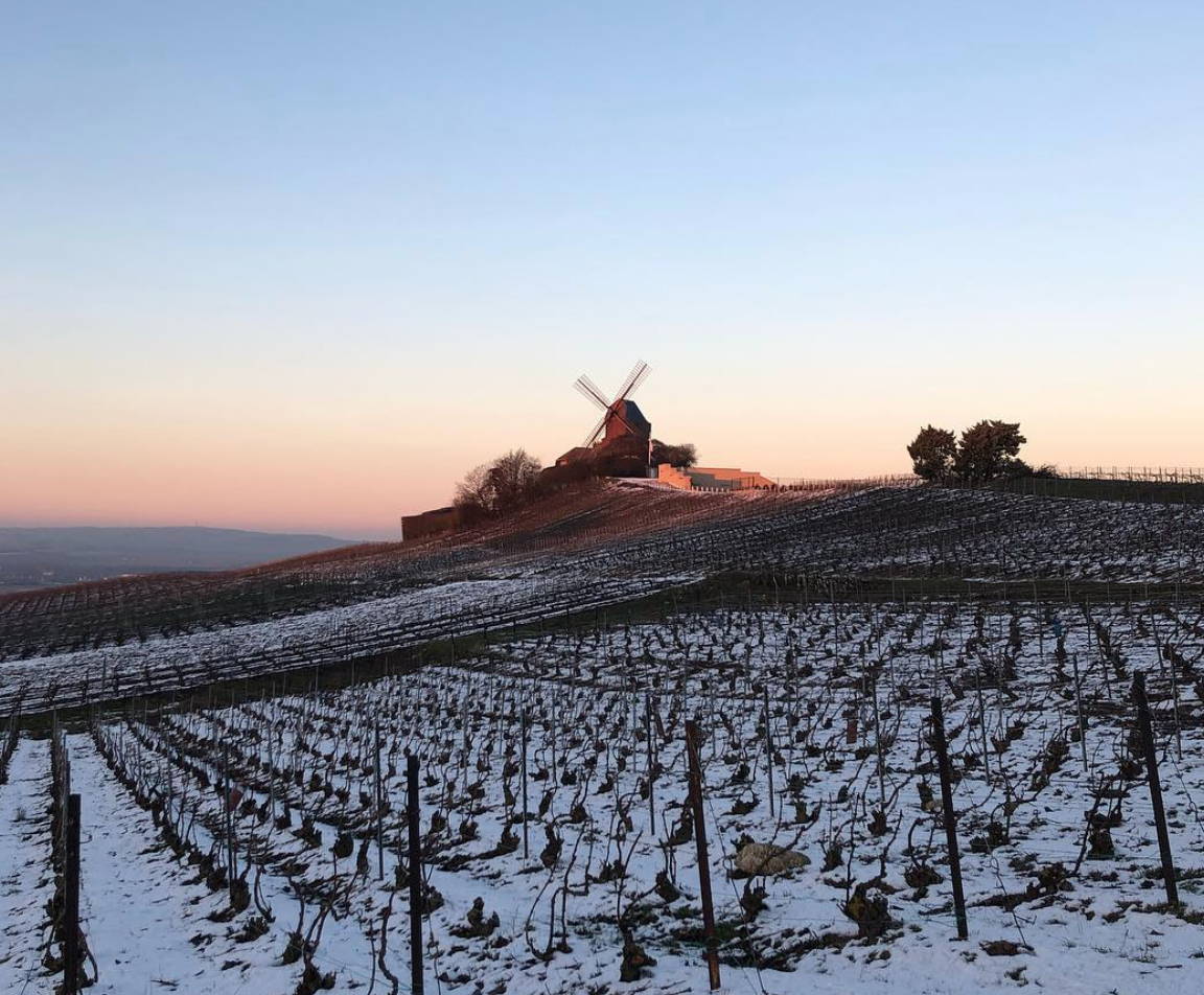 France, vin nature, rawwine, organic wine, vin bio, vin sans intrants, bistro brute, vin rouge, vin blanc, rouge, blanc, nature, vin propre, vigneron, vigneron indépendant, domaine bio, biodynamie, vigneron nature, cave vin naturel, cave vin, caviste, vin biodynamique, bistro brute, Quimper, Finistère , champagne, champagne hervé rafflin, hervé rafflin, chardonnay, pinot meunier, extra brut, zéro dosage