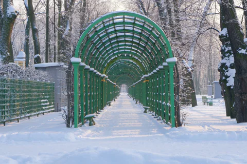 Летний сад: прогулка по старейшему парку Петербурга