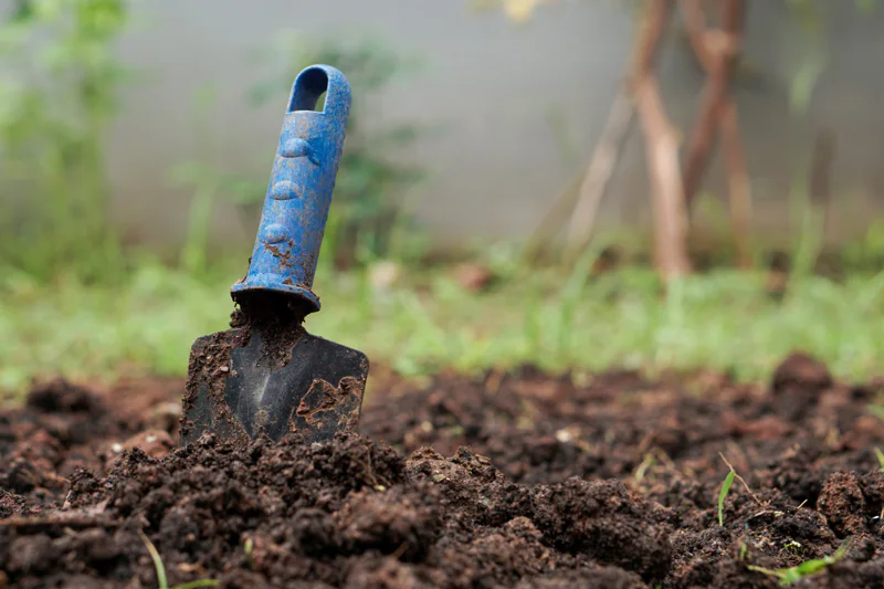 Garden trowel sticking out of freshly turned soil
