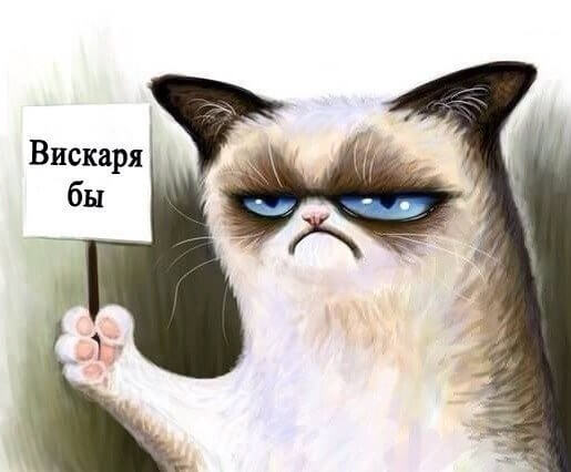 Обзор компонентов для системы комментирования сайта в Joomla