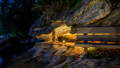Landscape lighting highlighting sandstone rock feature