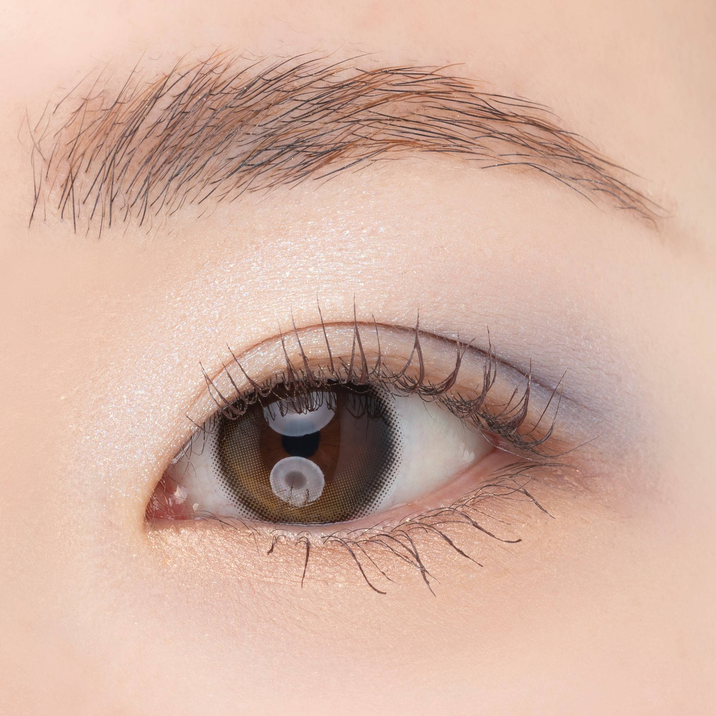 2024 AUTUMN COLLECTION｜ポール ＆ ジョー公式オンラインストア