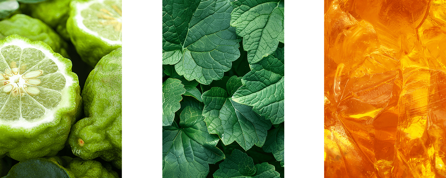 モンブラン エクスプローラー エクストレーム パルファム