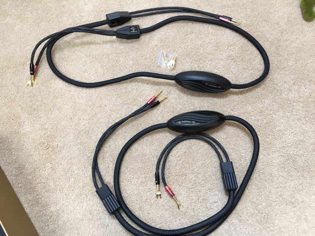 MIT Cables SL-Matrix 70s 8ft, with extra spades