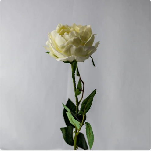 Bridal White David Austin Real Touch Half Bloom Rose - Realistic Artificial Flowers - Image 3