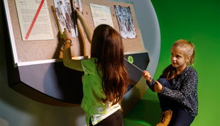 dsm aktensichern a rgb