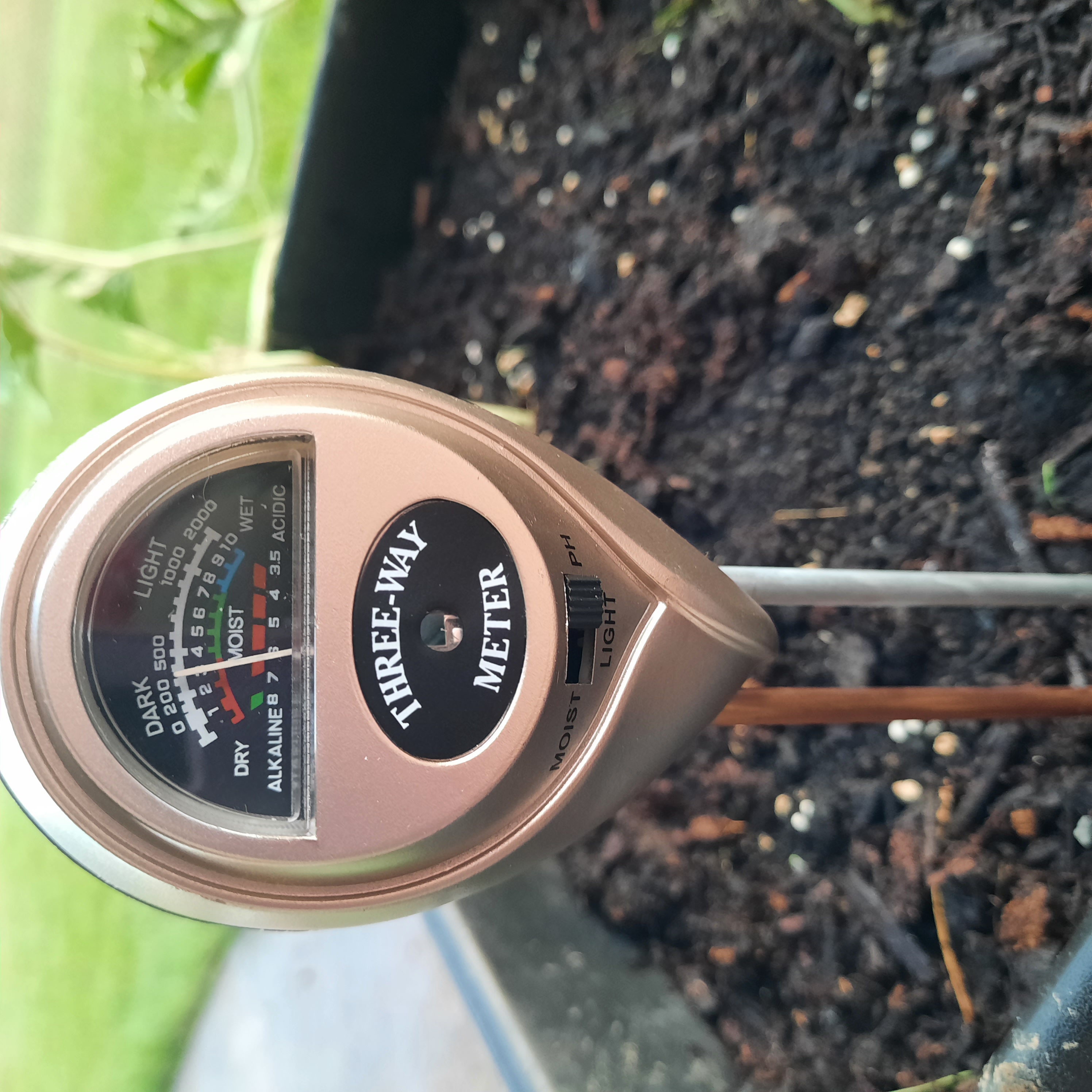 A close-up image of a soil pH meter in the soil