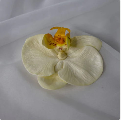 White and Yellow Phalaenopsis Flowerhead (6 Pack) - Realistic Artificial Flowers - Image 2