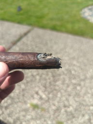 Cigar Session Photo