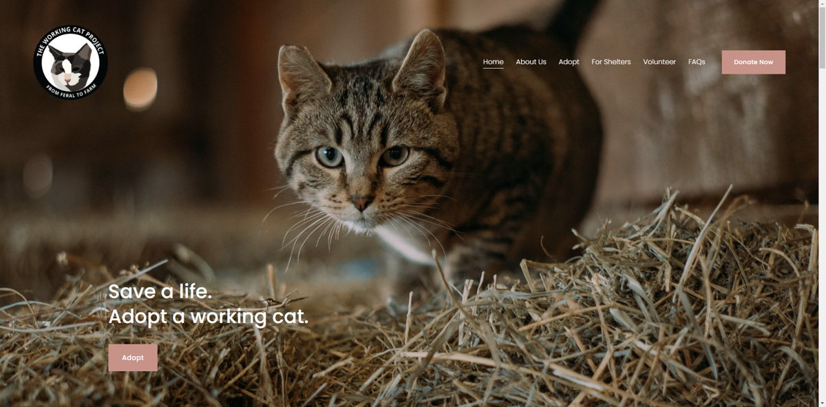 Screenshot of The Working Cat Project, from the nonprofit & charity websites collection.
