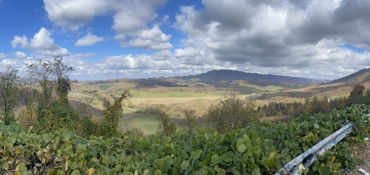 SWVA Back of the Dragon Experience near Tazewell, VA