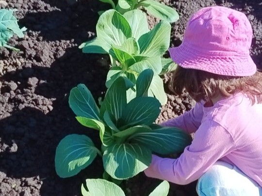 Ellia's Garden Voucher - Image 4